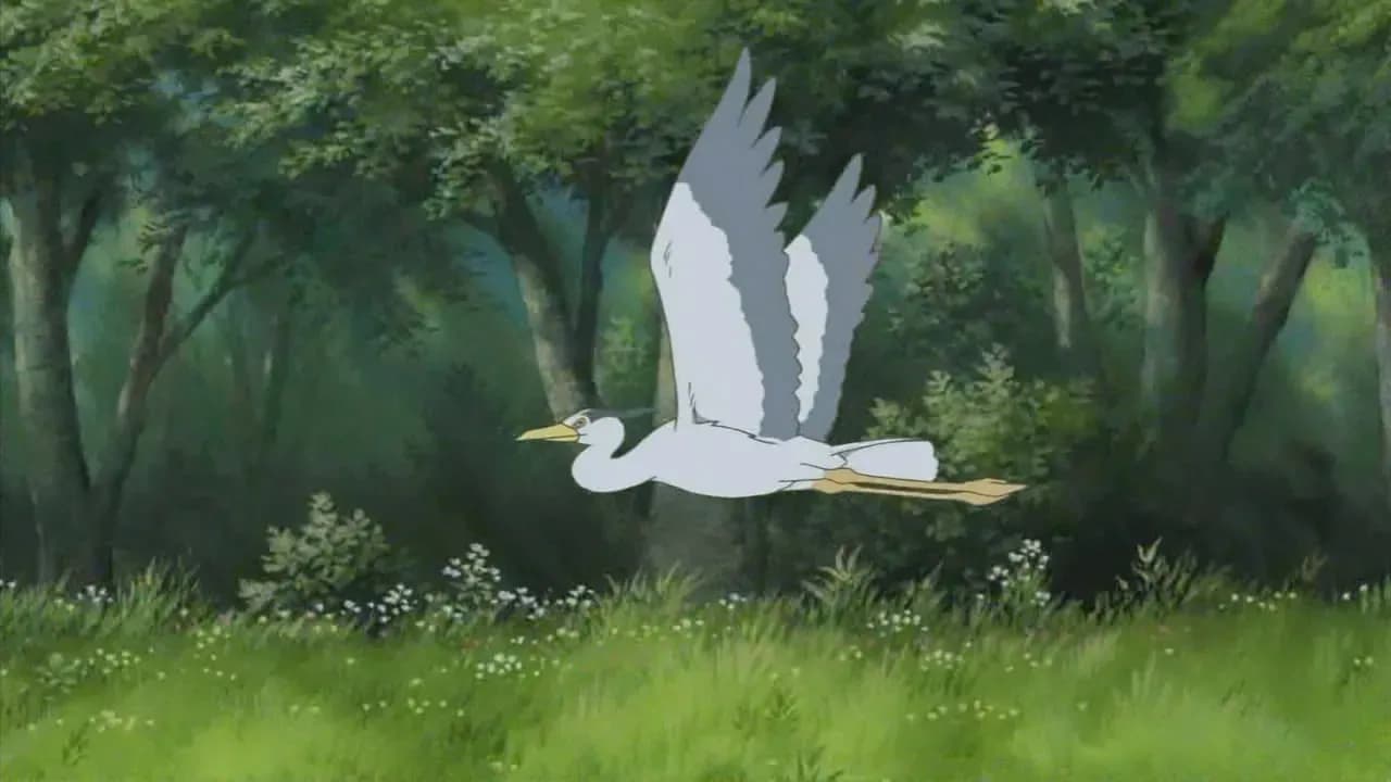 Речной свет screenshot 2