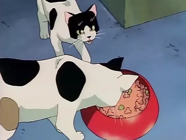 Дебют screenshot 1