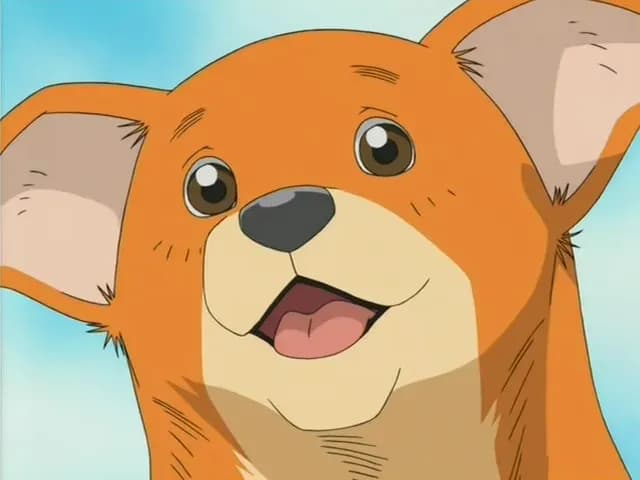 Вперёд! 2 screenshot 1