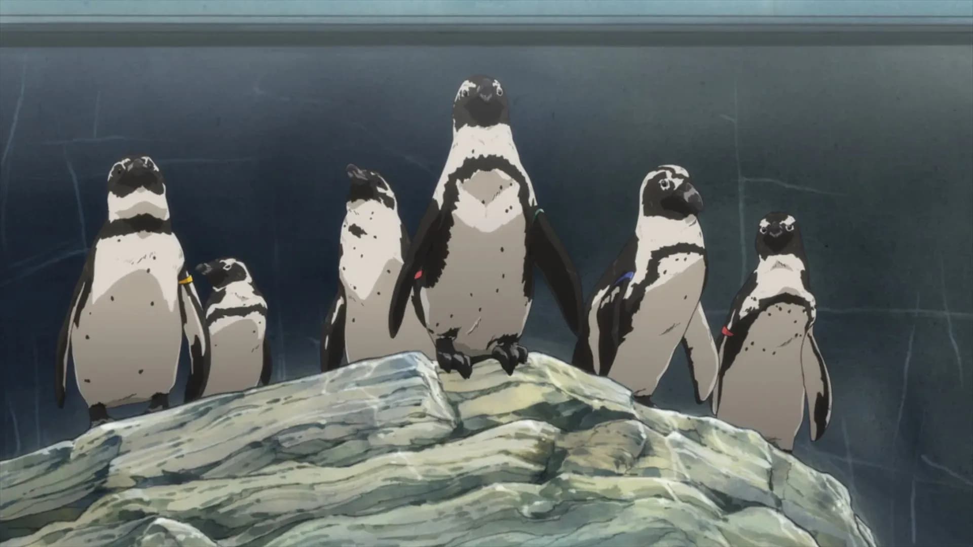 Пингвиний барабан. Фильм screenshot 1