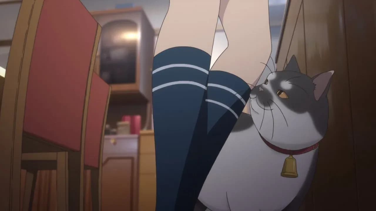 Тари Тари screenshot 1